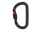 PETZL Karabiner Am'D, Screw-Lock, schwarz