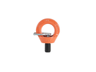 Ringschraube C807X H.T