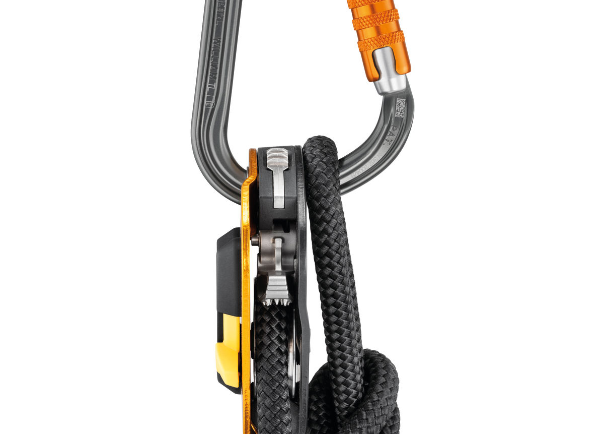 PETZL Karabiner WILLIAM, Screw-Lock, schwarz