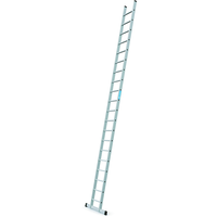 Anlegeleiter Stella L mit Sprossen, Arbeitshöhe 6.6 m