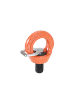 Ringschraube C807X H.T