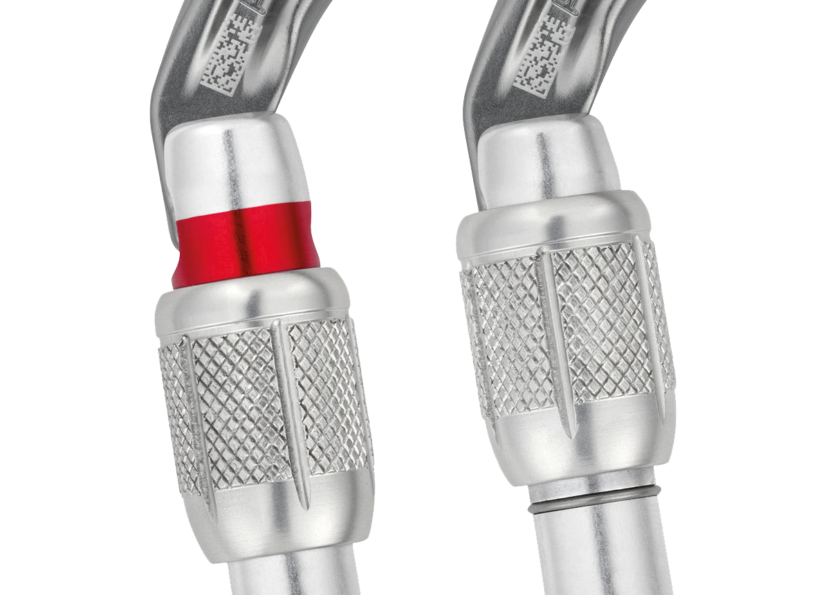 PETZL Karabiner Am'D, Screw-Lock, schwarz