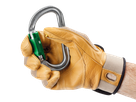 PETZL Karabiner Am'D PIN-LOCK, 1x