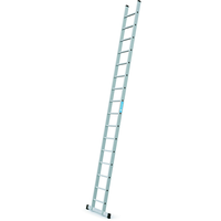 Anlegeleiter Stella L mit Sprossen, Arbeitshöhe 5.5 m