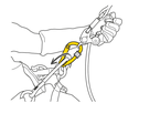 PETZL Seilrolle ROLLCLIP Z
