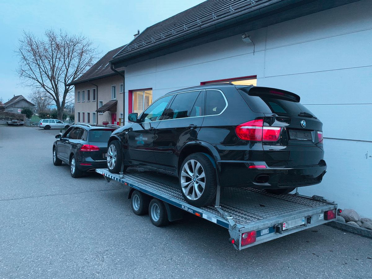 Zurrgurt ZFU mit Spitzhaken 2.5 m