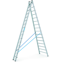 Mehrzweckleiter Combimaster Coni X mit Sprossen, Arbeitshöhe max. 9.4 m