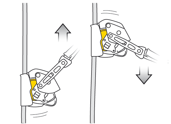 PETZL Auffanggerät ASAP LOCK mit Blockierfunktion