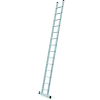Anlegeleiter Stella L mit Sprossen, Arbeitshöhe 4.95 m