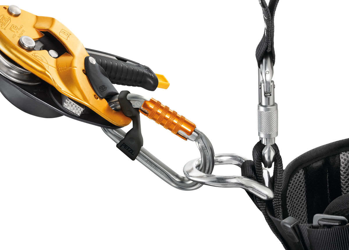 PETZL Karabiner Am'D, Screw-Lock, schwarz